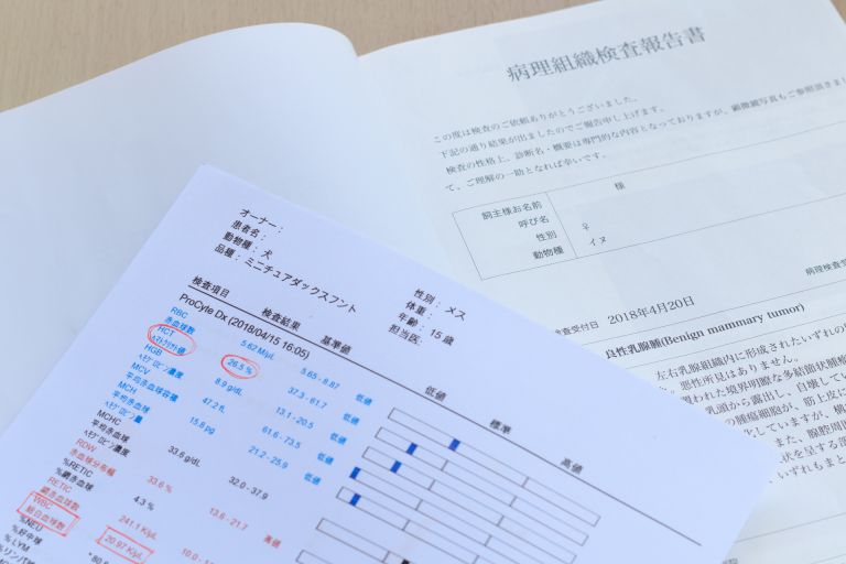 スターフィールドクリニックと信頼の医療volution